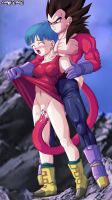 bulma_x_vegeta_20110108_00012.jpg